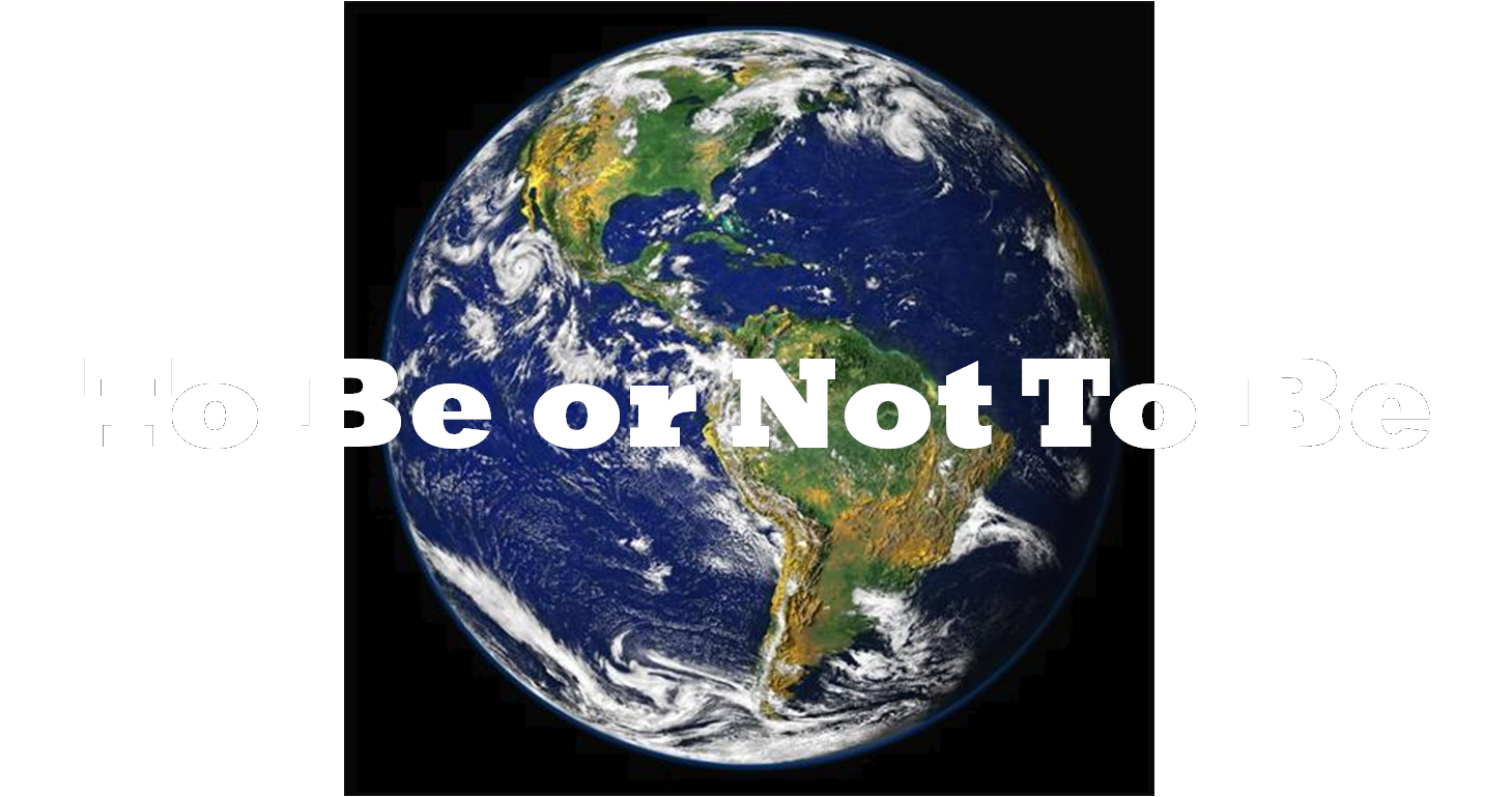 THAT IS THE QUESTION